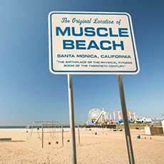 muscle beach